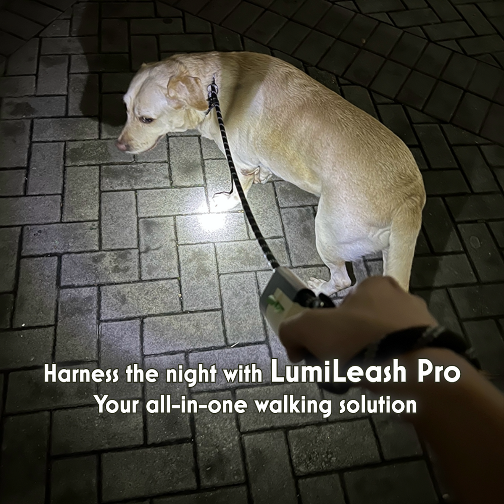 AnniePaw Patent LumiLeash Pro: All-in-One Dog Leash