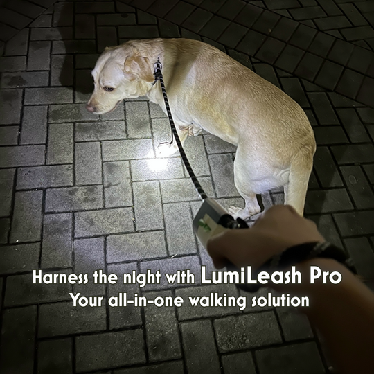 AnniePaw Patent LumiLeash Pro: All-in-One Dog Leash - Integrated Waste Storage Reflective Nylon Anti-Burst Adjustable Harness Stop Buckle